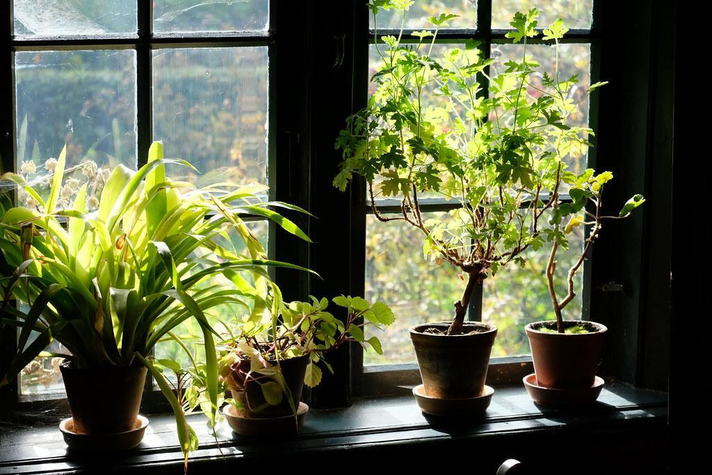 Turn Your Bathroom into a Wellness Sanctuary